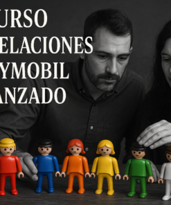 Curso Constelaciones Playmobil Avanzado