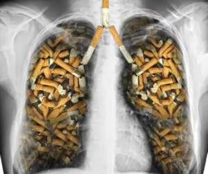 facilitadores método todohipno tabaco 31 diciembre, 2025